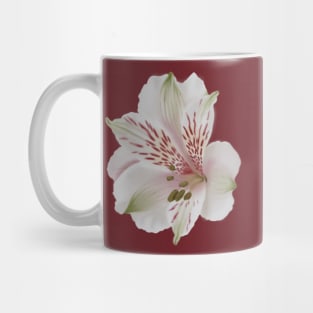 Alstroemeria - Digital Illustration of a Lily of the Incas Flower, floral Mug